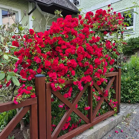 Apartamento Schmid