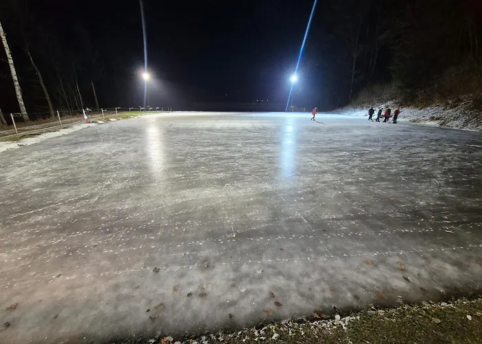 アパート Schmid *